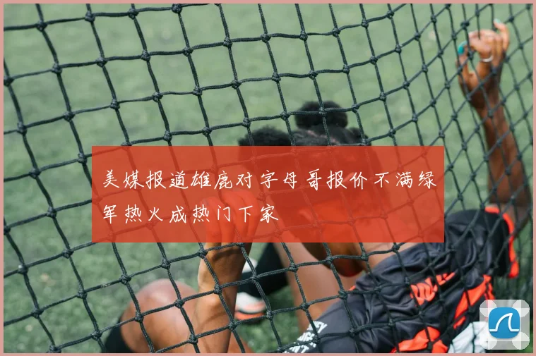 美媒报道雄鹿对字母哥报价不满绿军热火成热门下家