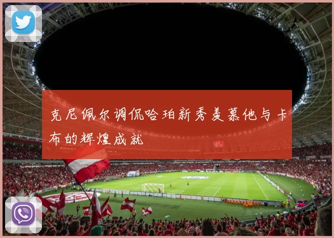 克尼佩尔调侃哈珀新秀羡慕他与卡布的辉煌成就